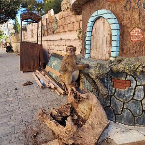 VOYAGE 20230929_173121 MOSTAGANEM